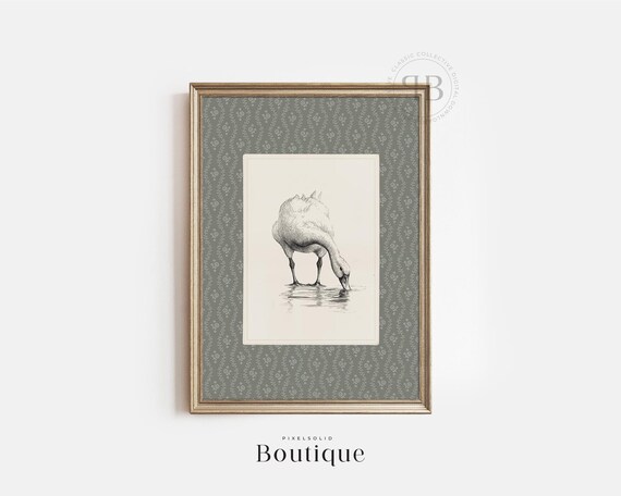 Goose Sketch Drawing Farmhouse Animal Wall Art Black White Bird Illustration Rustic Vintage Style No728