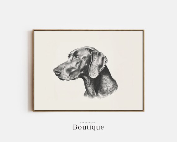Weimaraner Dog Sketch Neutral Illustration Print Farmhouse Hunting Wall Decor Drawing Minimalist No389