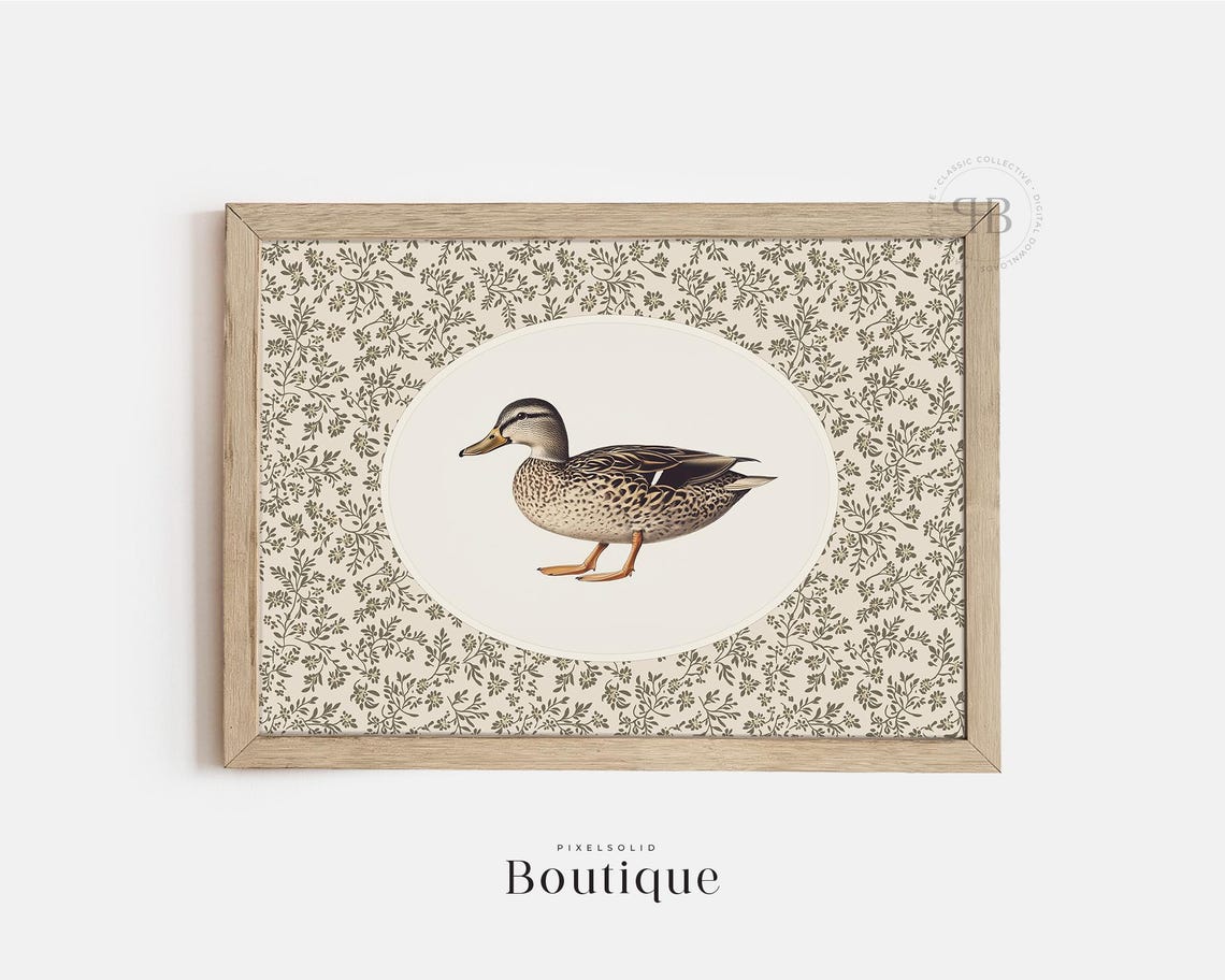 Standing Mallard Duck Oval Frame Floral Border Vintage Poster