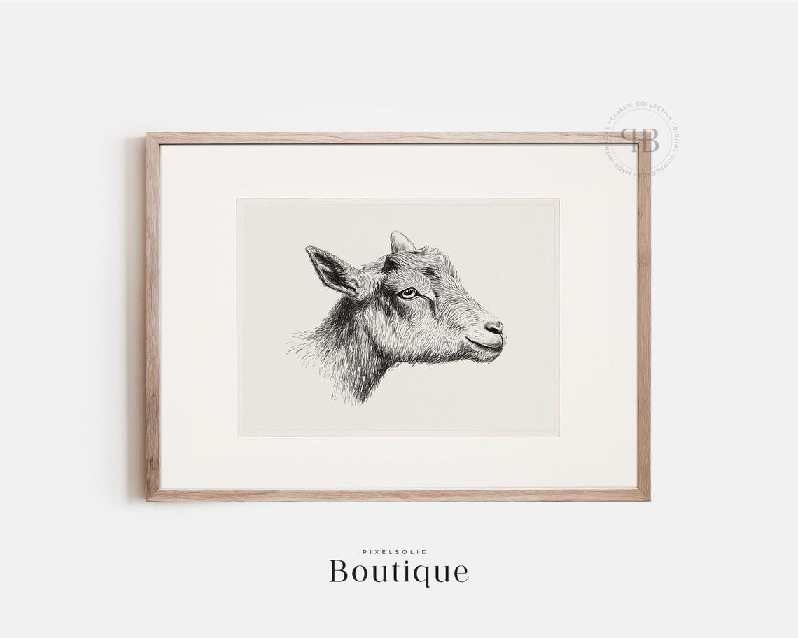 Vintage Goat Head Ink Sketch Poster in Black and White Farmhouse Style