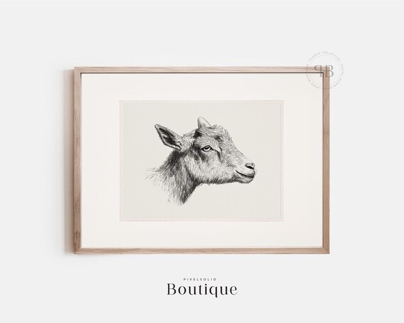 Goat Illustration Print Vintagestyle Farm Animal Art Rustic Country Wall Decor Black And White Sketch No700