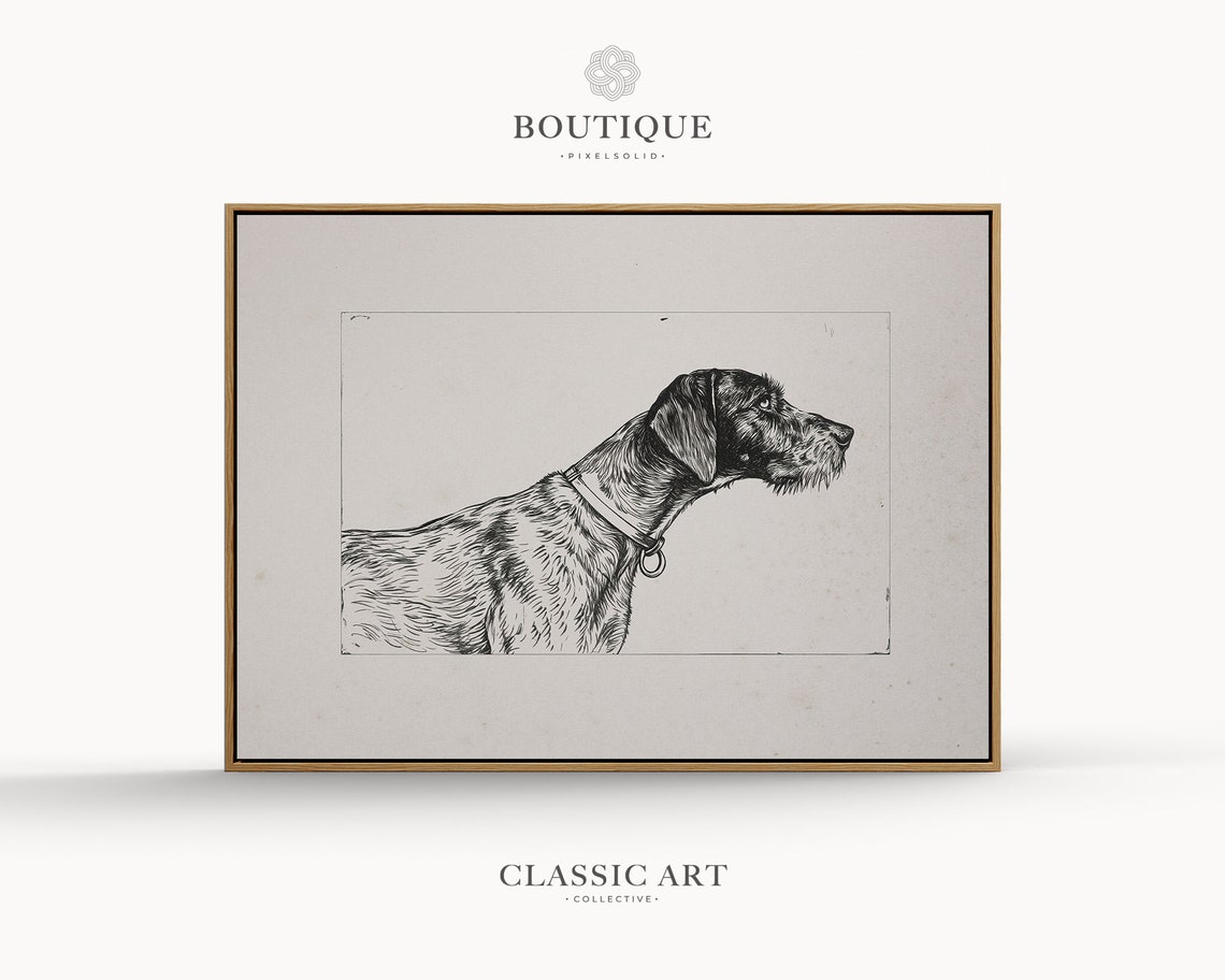 German Wirehaired Pointer Antique Vintage Hunting Dog Etching Print