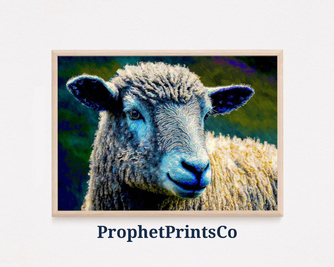 White Sheep Close Up Portrait Vivid Painterly Farm Art Poster