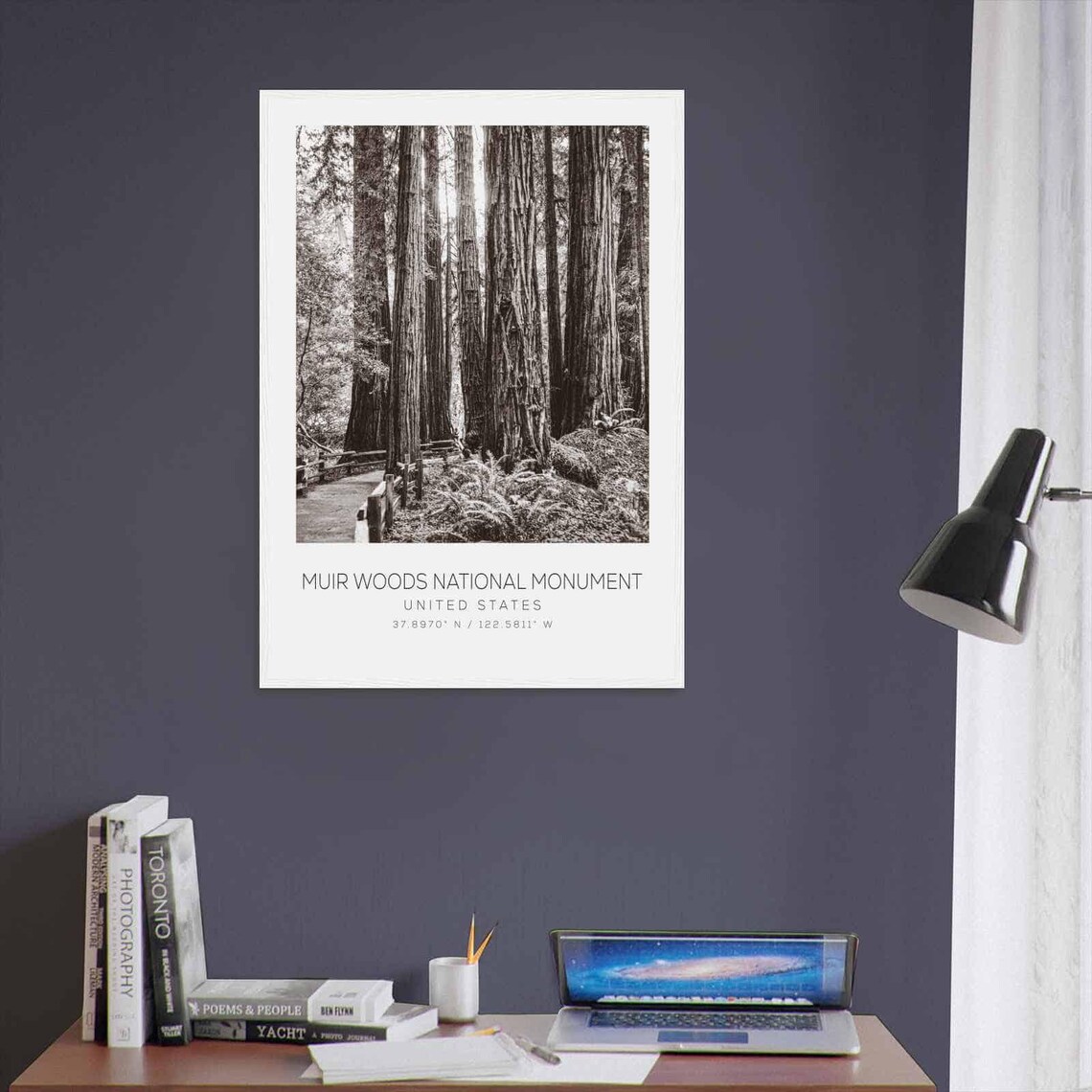 Muir Woods National Monument Redwoods Black and White Photo Poster - Image 3