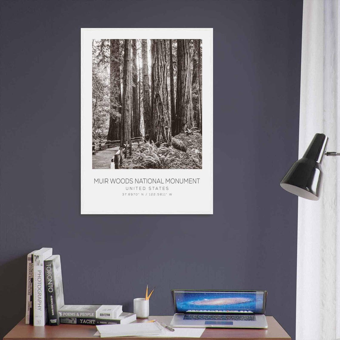 Muir Woods National Monument United States Travel Photo Poster Bw Muir Woods National Monument Travel Print Minimalist Travel Poster Print - Image 3