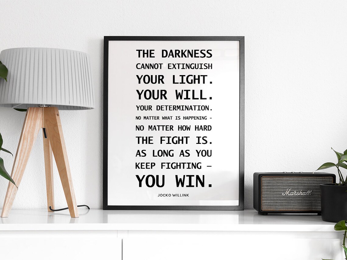 The Darkness Cannot Distinguish, Jocko Willink - Image 2
