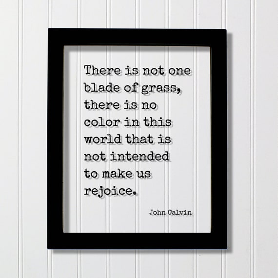 John Calvin Quote There Is Not One Blade Of Grass No Color In This World That Intended To Make Us Rejoice Nature Environment Forest