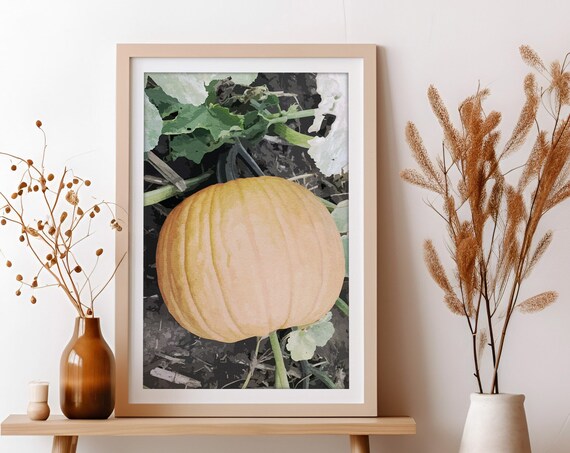 Pumpkin