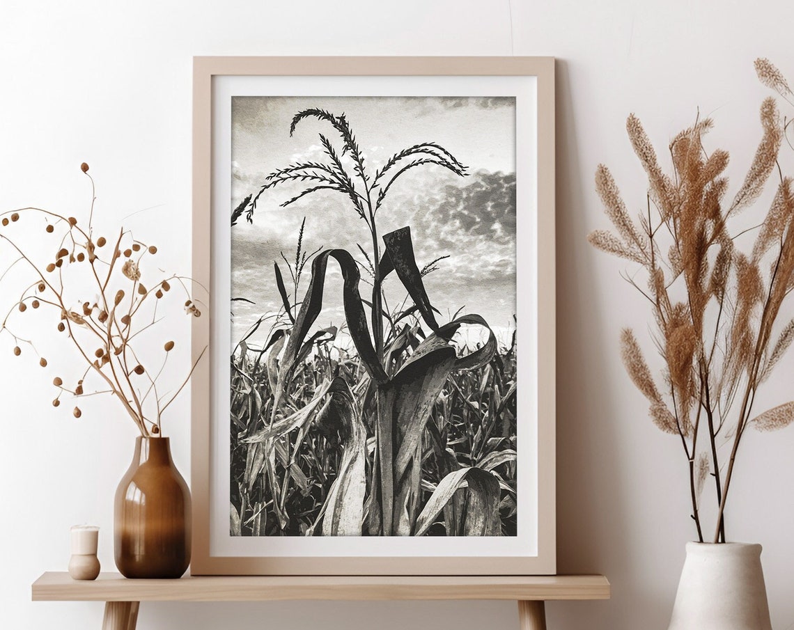 Black And White Corn Field Stalks Against Stormy Sky Farm Poster