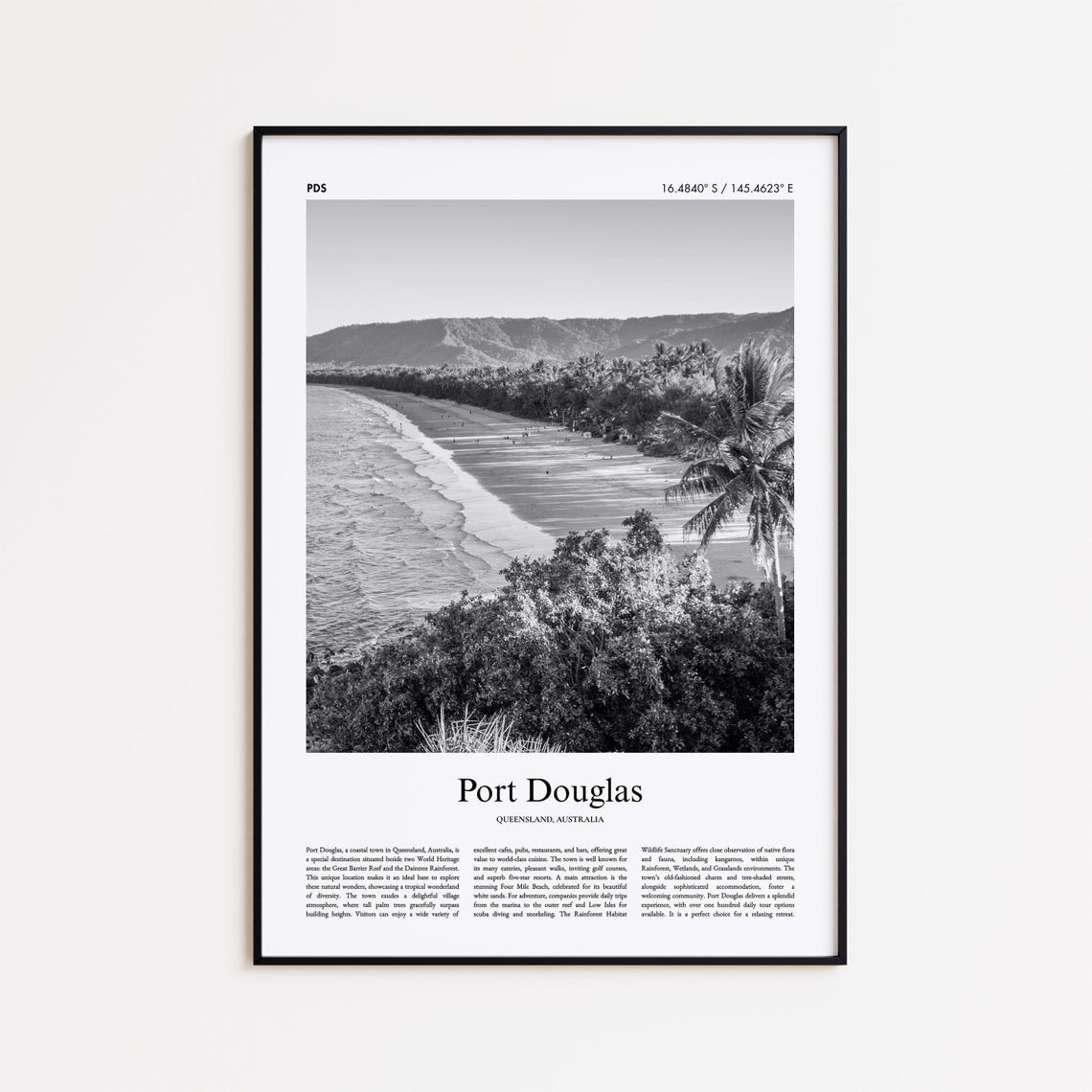 Port Douglas Palm Beach Black and White Photo Poster Queensland