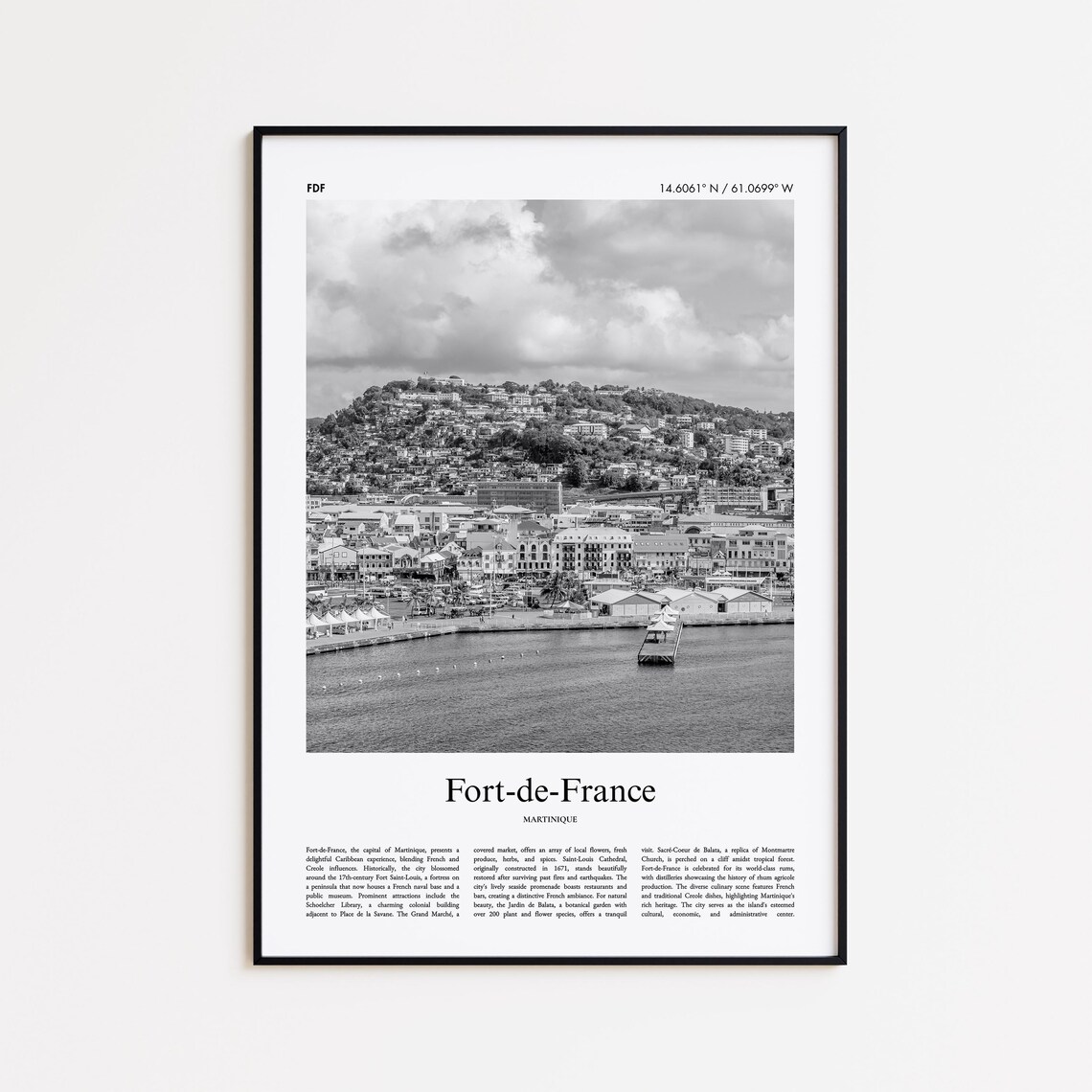 Fort-de-France Martinique Black And White Aerial Harbor Photo Poster