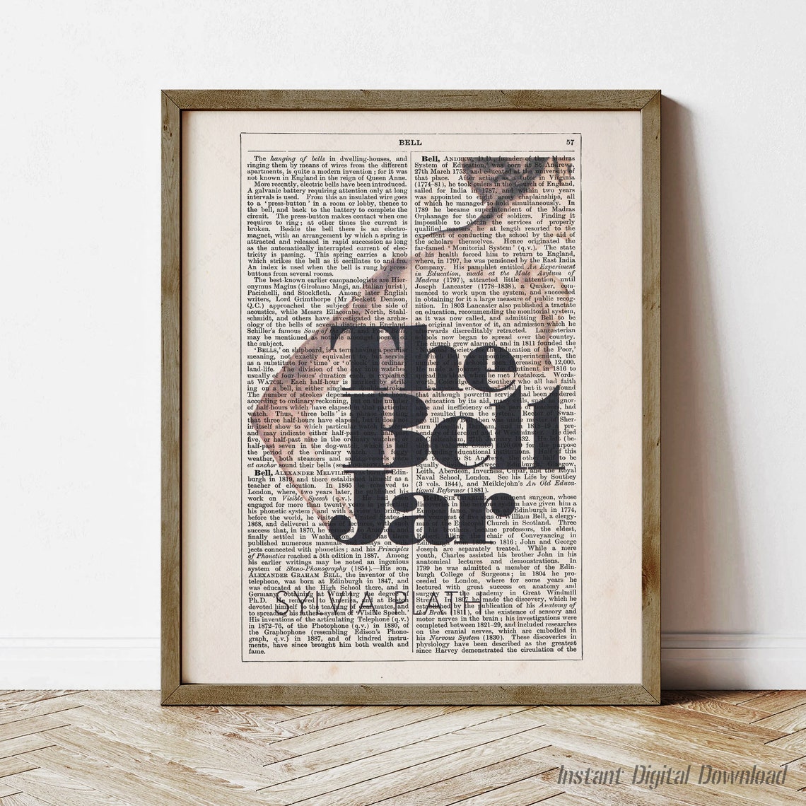 Sylvia Plath The Bell Jar Book Title Literary Dictionary Art Poster