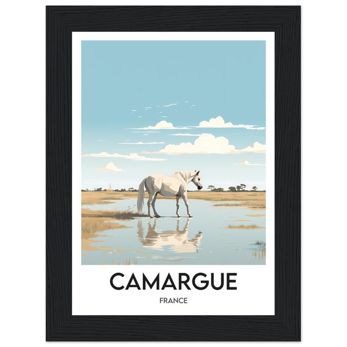 Camargue France White Horse Marsh Wildlife Nature Scene Poster