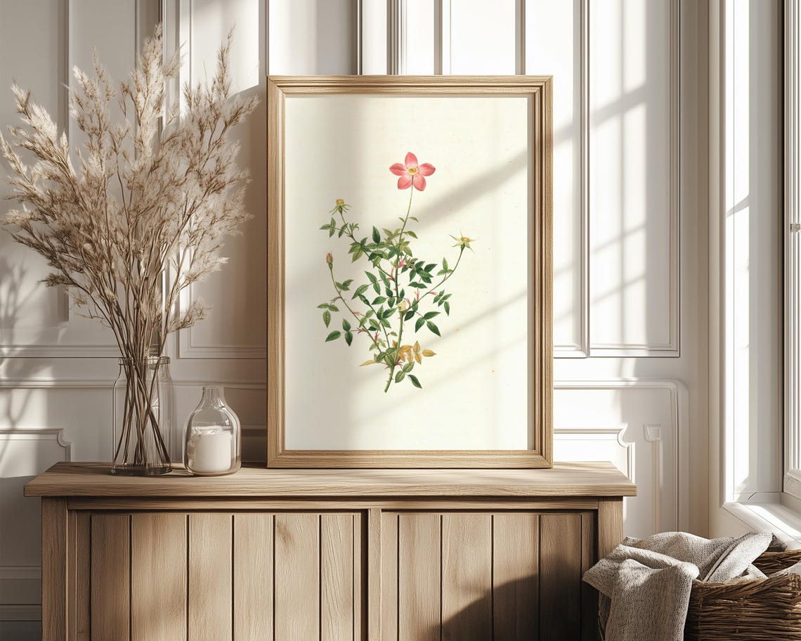 Single Pink Wild Rose On A Delicate Slender Stem Botanical Print - Image 4
