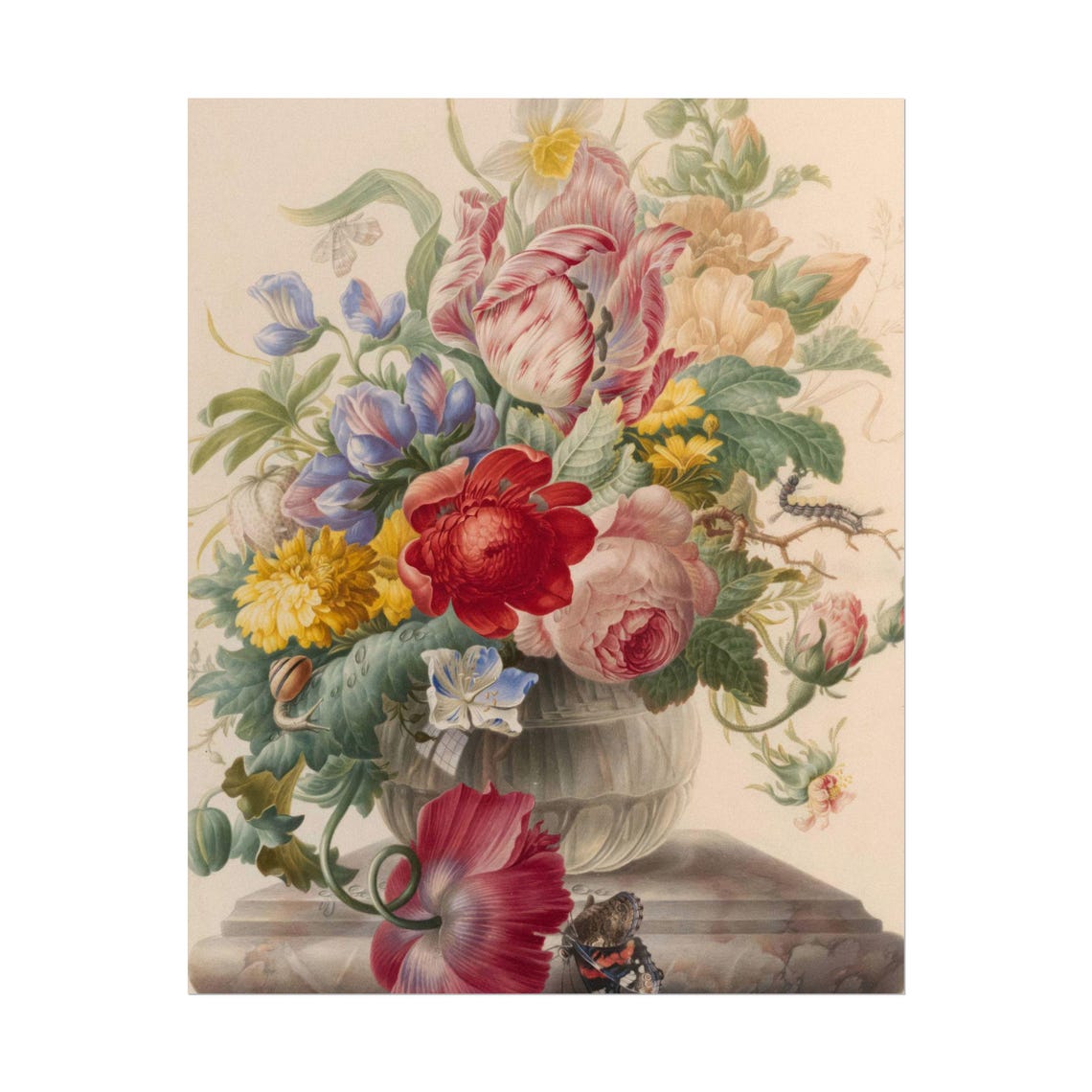 Dutch Bouquet with Parrot Tulip Butterfly and Snail Floral Poster - Image 6