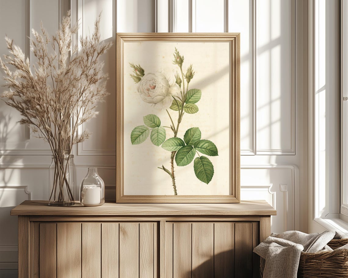 White Rose Stem Botanical Study Vintage Floral Line Art Poster - Image 4