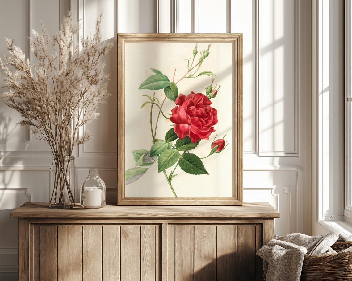 Crimson Red Rose Botanical Illustration with Buds Vintage Poster - Image 4