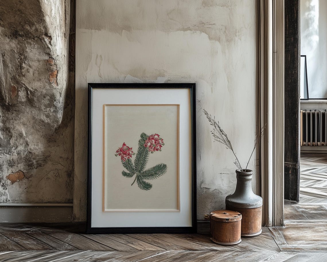 Pink Grevillea Blooms With Ferny Foliage Botanical Decor Print - Image 3