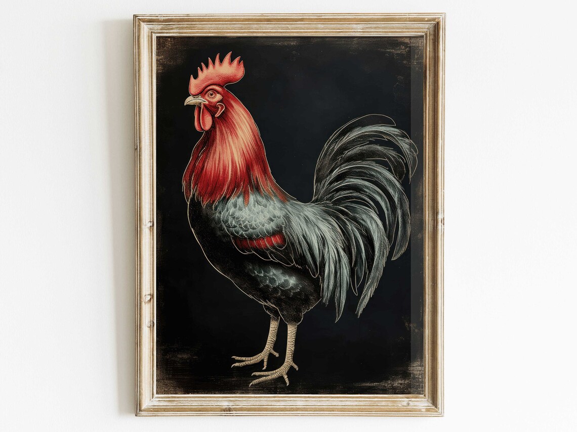 Proud Rooster Portrait With Red Plumage Black Background Poster