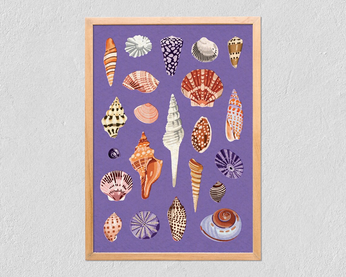 Sea Shells Collection, Illustrated Coastal Art Print
