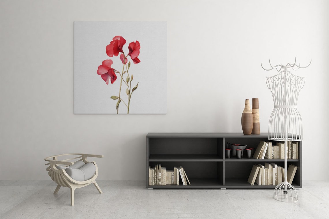 Red Sweet Pea Blossom Garden Watercolour Botanical Flower Poster - Image 7