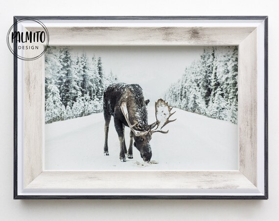 Reindeer Winter Christmas Deer Scandinavian Art Print