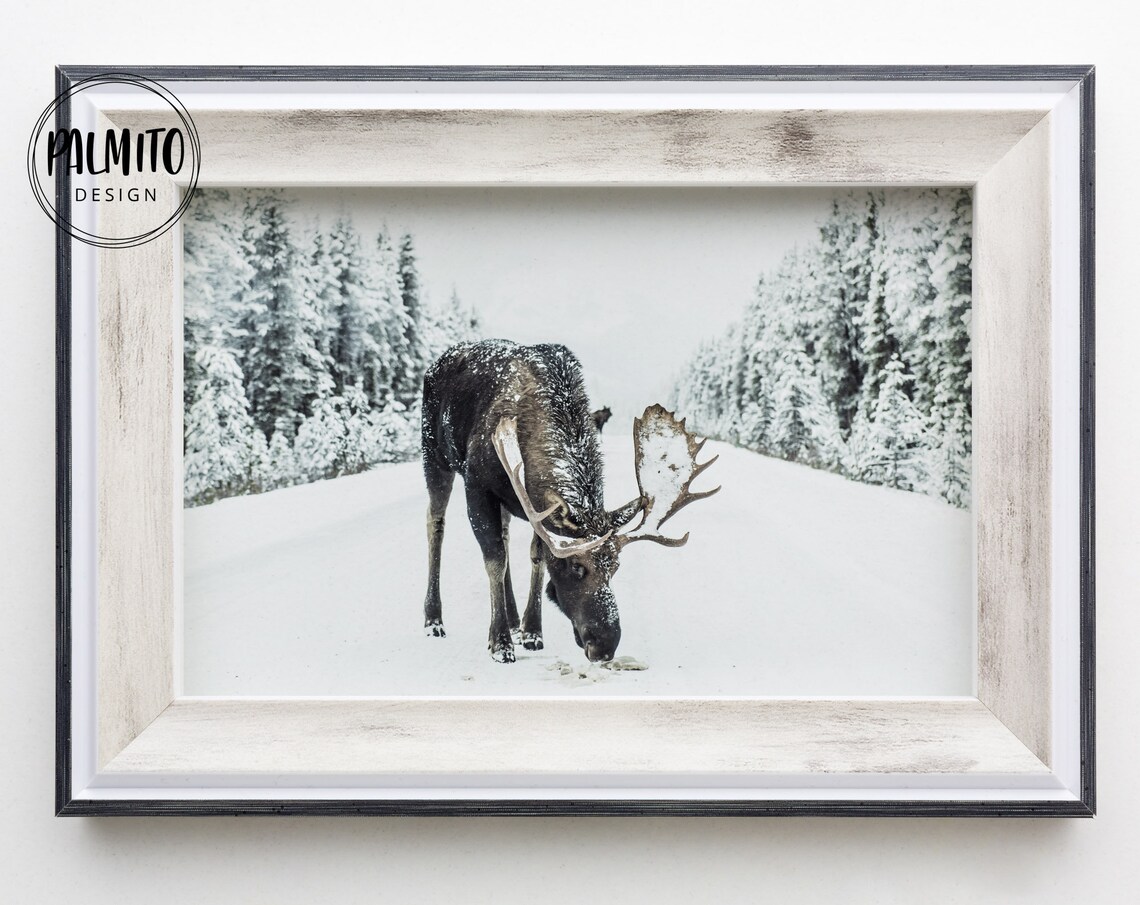 Reindeer Winter Christmas Deer Scandinavian Art Print