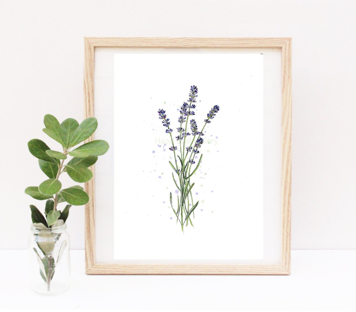Lavender Sprigs Watercolour Botanical Illustration Framed Art Print
