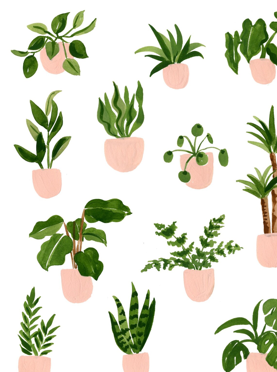 House Plants Botanical Wall Art, Sabina Fenn Art Print - Image 4