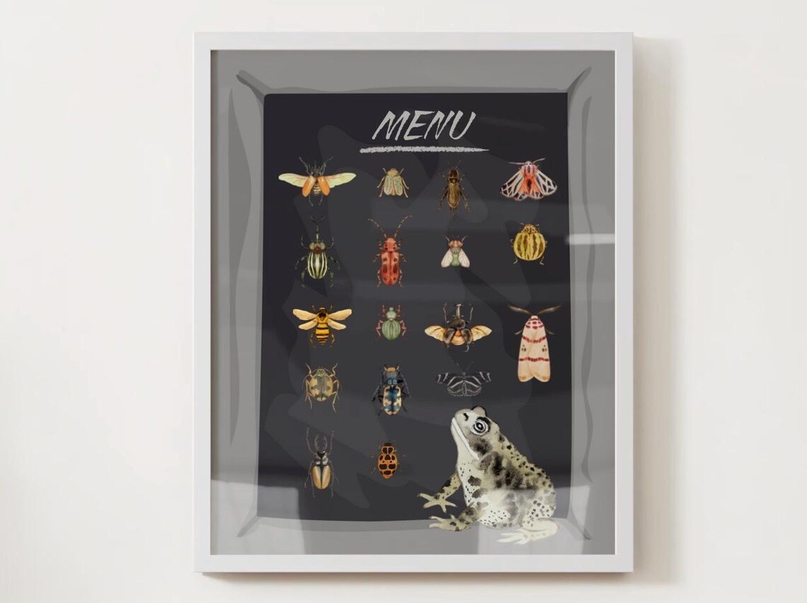 Frog Watching Insects Menu Chart Vintage Naturalist Bugs Poster - Image 3