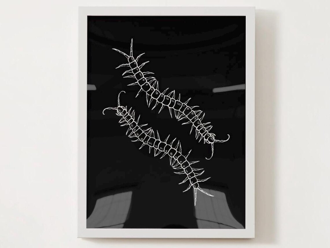 Monochrome Centipede Poster Print, Bugs For Kids
