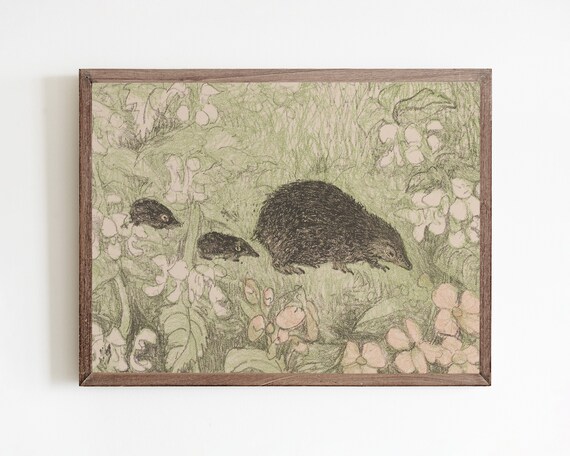 Mother Hedgehog with Babies in a Flowering Garden Vintage Print