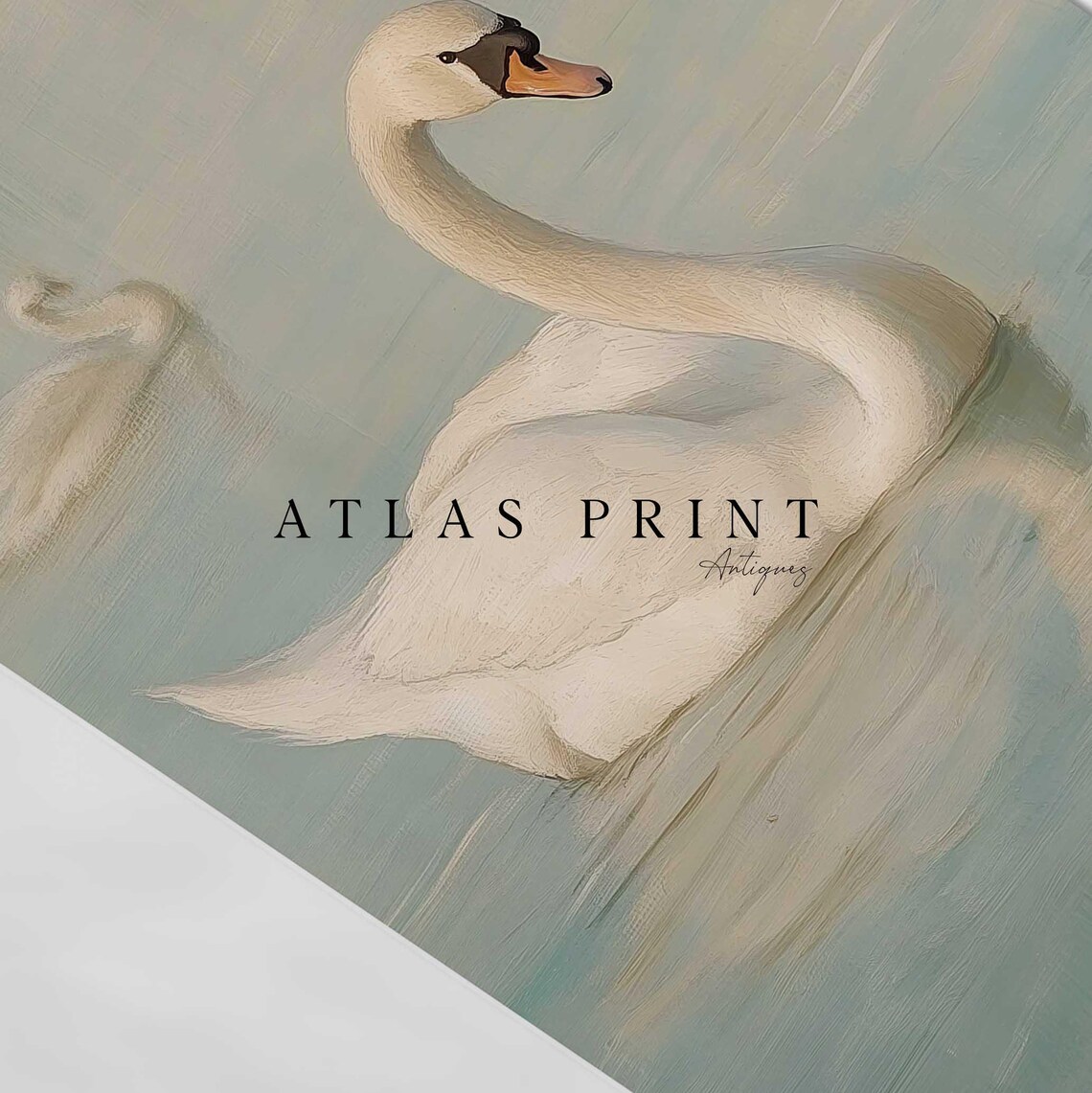 White Swan Painting Pastel Mute Swans On Calm Lake Oil Art Print - Image 4
