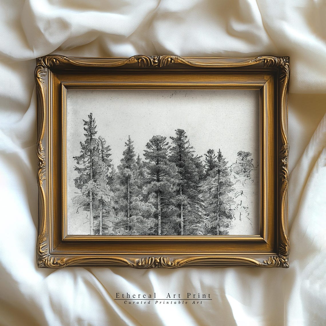 Tall Pine Trees Pencil Sketch Vintage Forest Drawing Art Print - Image 2