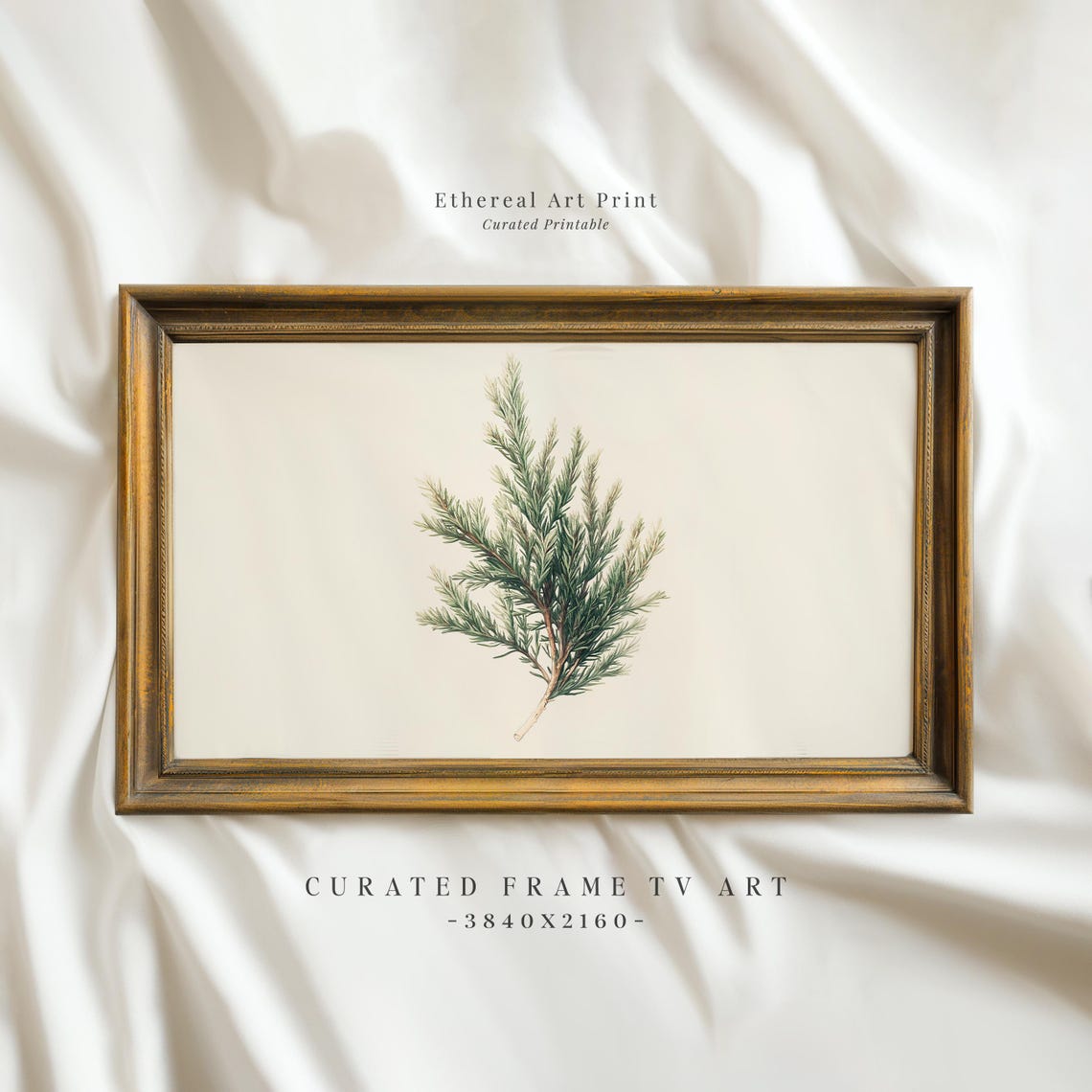 Vintage Juniper Branch Botanical Illustration Neutral Holiday Print