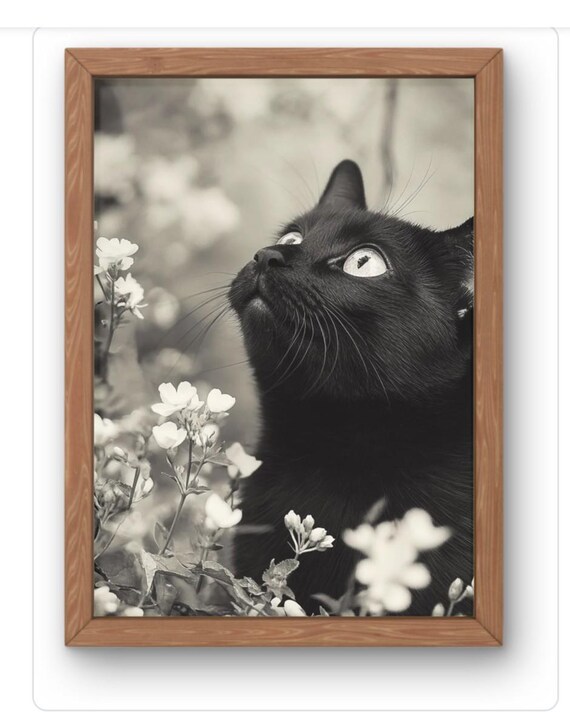 Black Cat in White Flowers Monochrome Feline Photography Art Print