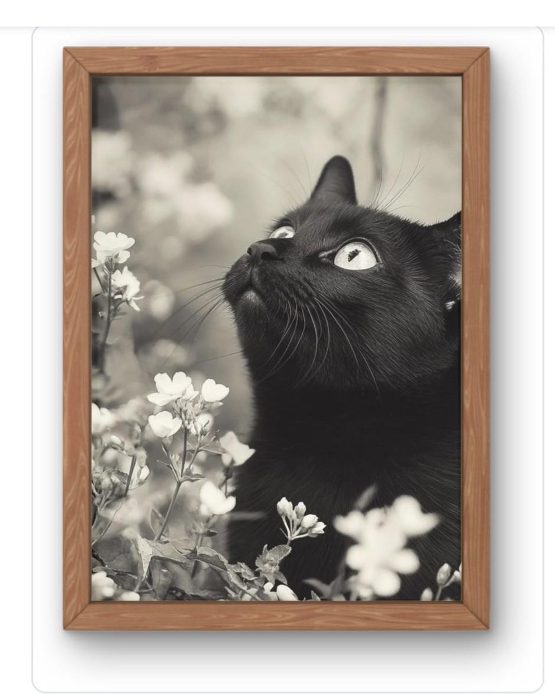 Black Cat in White Flowers Monochrome Feline Photography Art Print