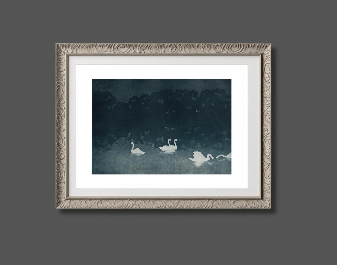 Vintage Swans Painting, French Bird Art