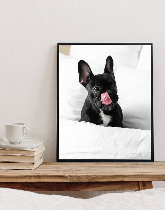 Cute And Cozy Dog Print Dog Decor Wall Art Large Poster Modern Minimalist Decor Animal Decor Dog Poster