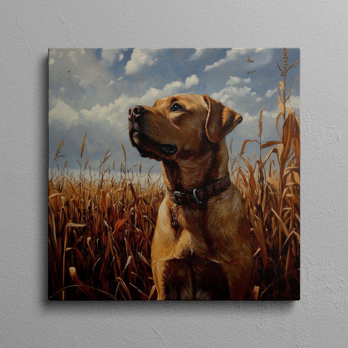 Yellow Labrador Portrait Standing In A Golden Cornfield Poster