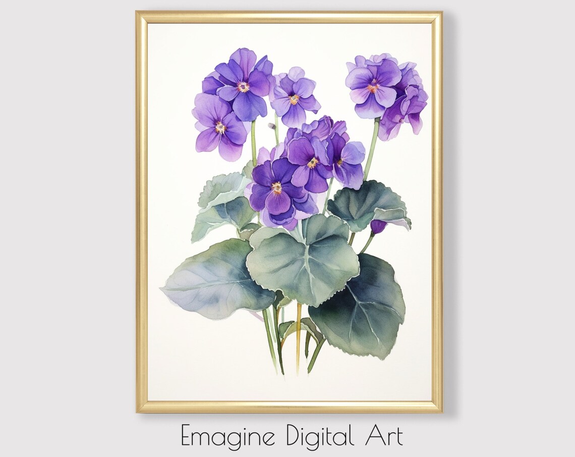 African Violet Watercolor Painting Purple Floral Botanical Poster