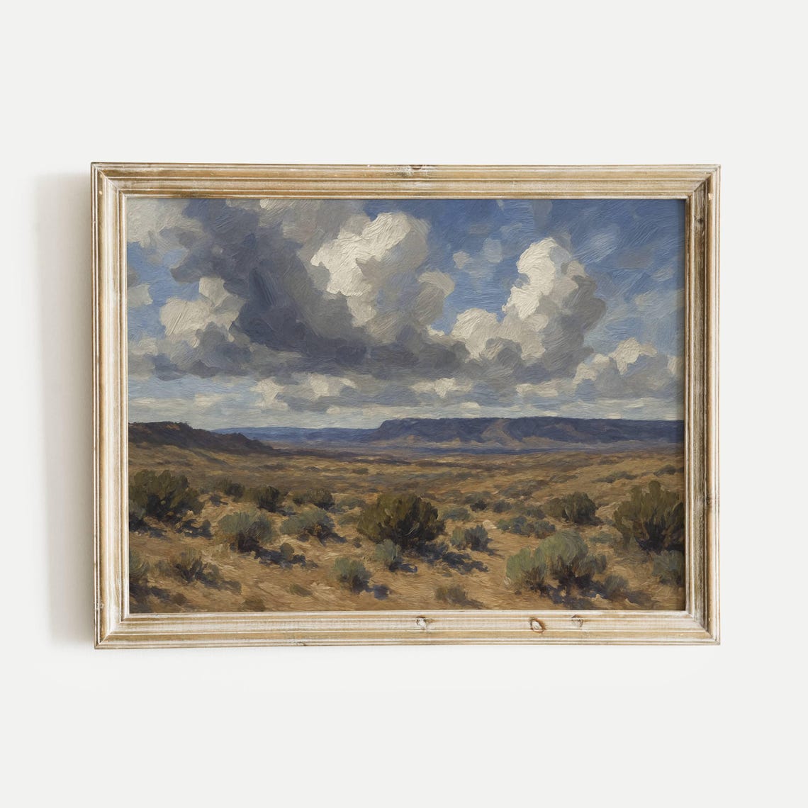 Desert Plain With Vegetation Under Dramatic Cloudy Sky Poster