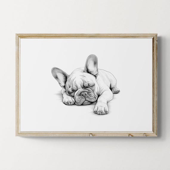 Sleeping French Bulldog Vintage Sketch Farmhouse Print