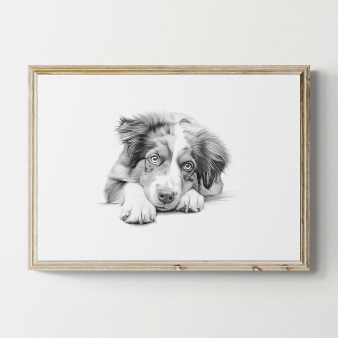 Australian Shepherd Puppy White Markings Sketch Vintage Dog Poster