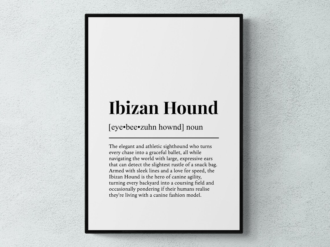 Ibizan Hound Funny Definition Dog Wall Art Print
