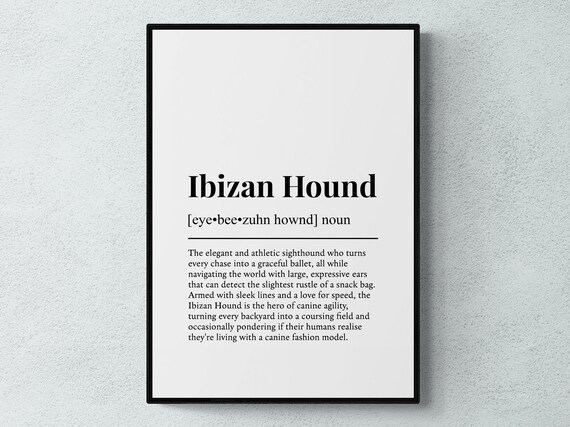 Ibizan Hound Funny Definition Dog Wall Art Print