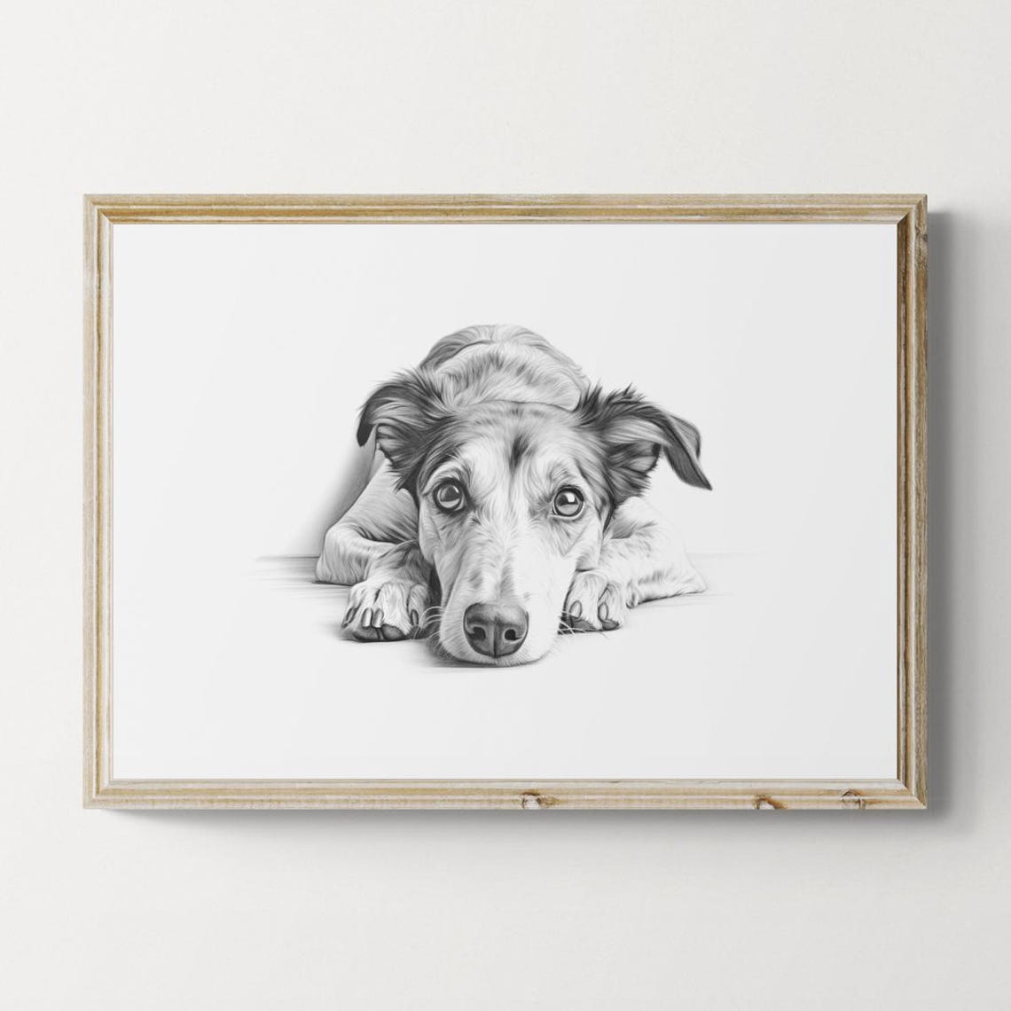 Lurcher Lean Sighthound Sketch Lying Down Vintage Dog Poster
