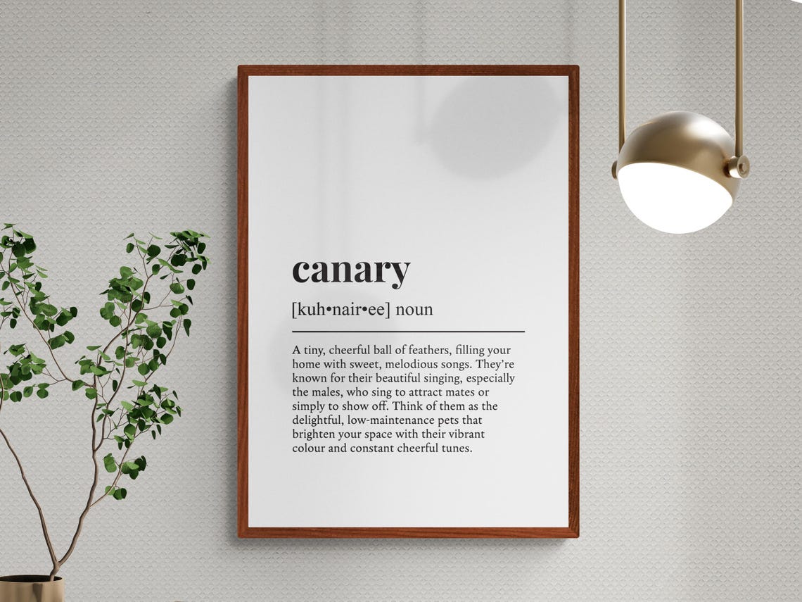 Canary Funny Dictionary Definition Pet Bird Black And White Wall Art - Image 3
