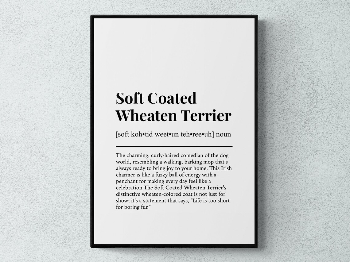 Soft Coated Wheaten Terrier Funny Definition Dog Art Print