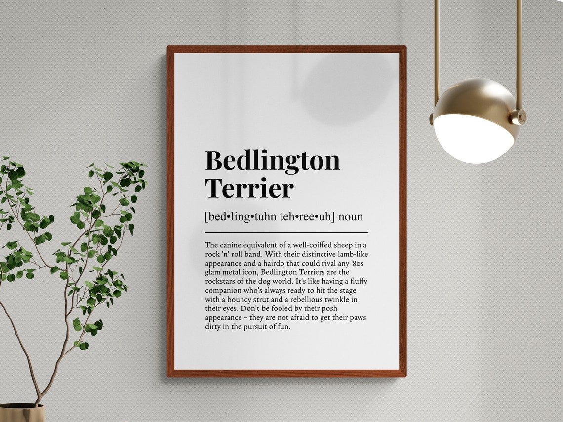 Bedlington Terrier Funny Definition Dictionary Style Minimalist Print - Image 3
